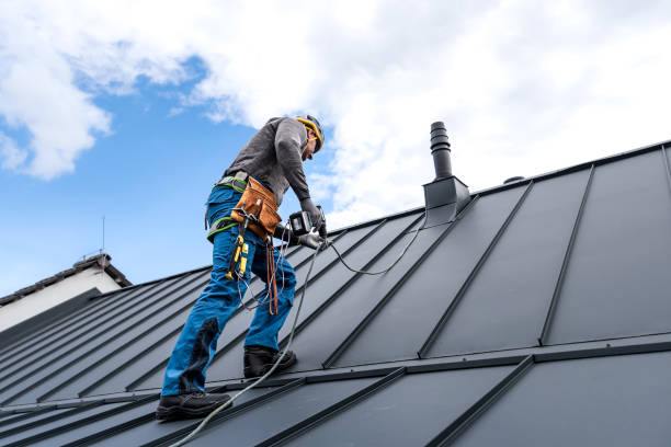 Best Roof Maintenance and Cleaning  in Lanster, CA