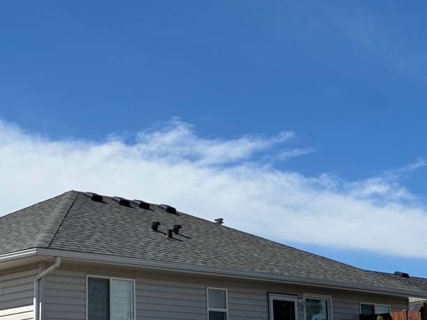 Best Skylights  in Lanster, CA